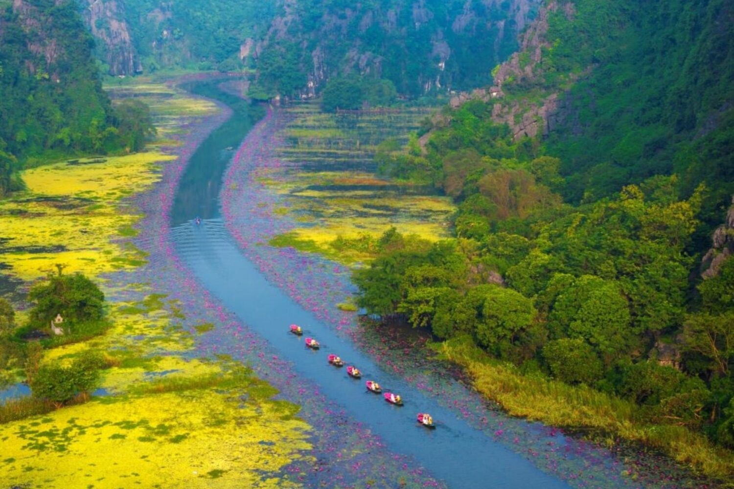 Tam Coc