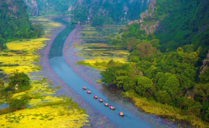 Tam Coc